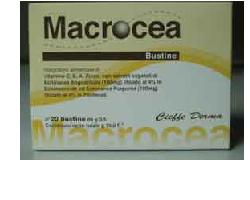 MACROCEA 20 BUSTINE