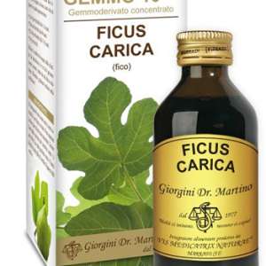 GEMMO 10+ FICO LIQUIDO ANALCOLICO 100 ML