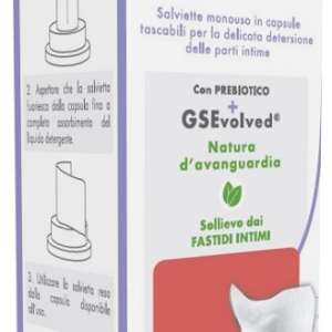 GSE INTIMO SALVIETTE CLICK GO 10 PEZZI