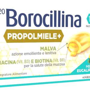 NEOBOROCILLINA PROPOLMIELE+ MIELE/EUCALIPTO 16 PASTIGLIE