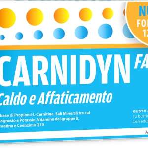 CARNIDYN FAST 12 BUSTINE