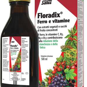 FLORADIX FERRO E VITAMINE 500 ML