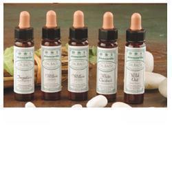 AINSWORTHS OLIVE 10ML 1 AINSWORTHS OLIVE 10ML