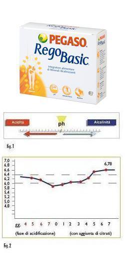 REGOBASIC 12 BUSTINE POLVERE REGOBASIC 12 BUSTINE POLVERE