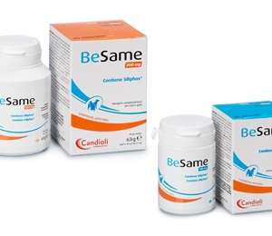 BESAME 200 30 COMPRESSE APPETIBILI