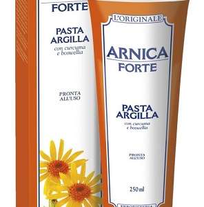 ARNICA FORTE PASTA ARGILLA 250 ML