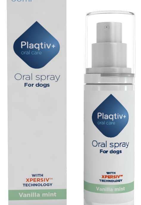 PLAQTIV+ ORAL CARE SPRAY ORALE 60 ML