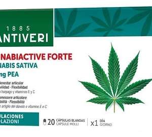 CANNABIACTIVE FORTE PEA 400 MG 20 CAPSULE MOLLI