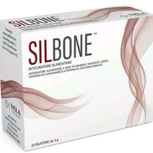 SILBONE 20 BUSTINE