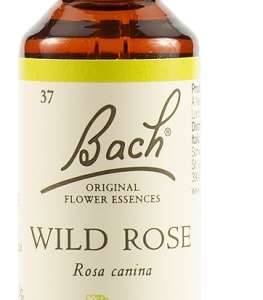WILD ROSE BACH ORIG 20 ML