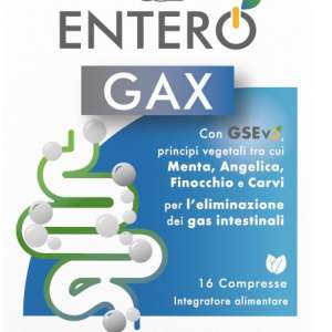 GSE ENTERO GAX 16 COMPRESSE