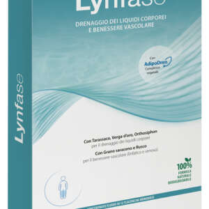 LYNFASE CONCENTRATO FLUIDO 12 FLACONCINI DA 13