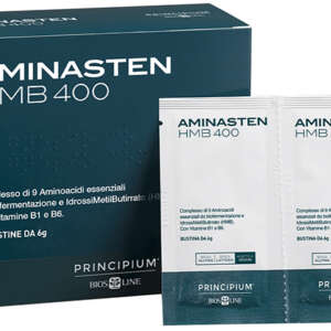PRINCIPIUM AMINASTEN HMB400 14 BUSTINE 6 G