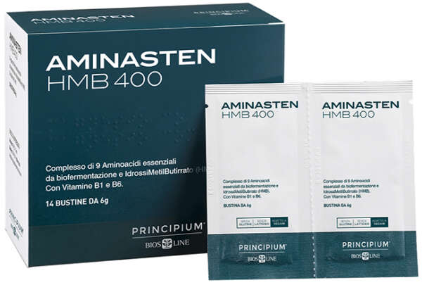 PRINCIPIUM AMINASTEN HMB400 14 BUSTINE 6 G
