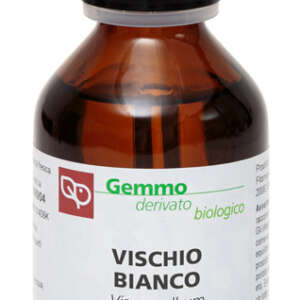 VISCHIO MACERATO GLICERICO 100 ML BIO