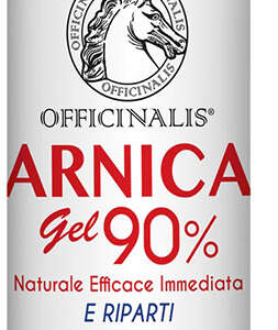 ARNICA GEL 90% 250 ML