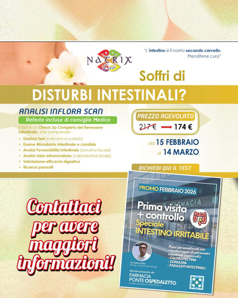 WhatsApp Image 2026-02-17 at 11.26.56