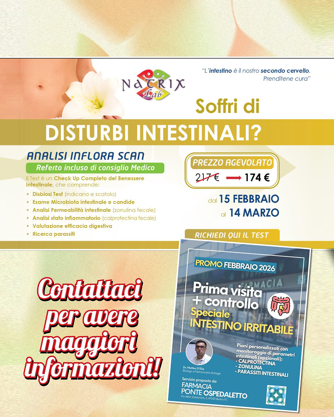 WhatsApp Image 2026-02-17 at 11.26.56